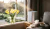 Best Air Purifiers UK 2026: Your Nose Will Thank You This Spring